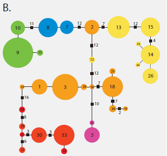 Brown_2007_Fig1b.png