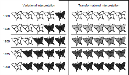 Fig2_Shtulman2006a.png