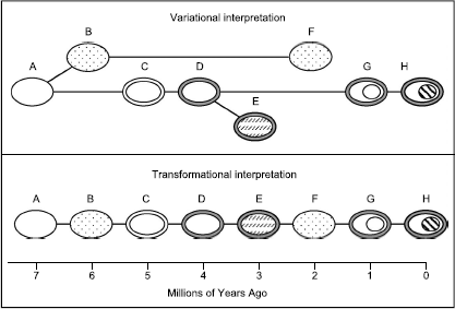 Fig3_Shtulman2006a.png