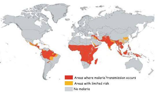 WHO_2004_malaria.png